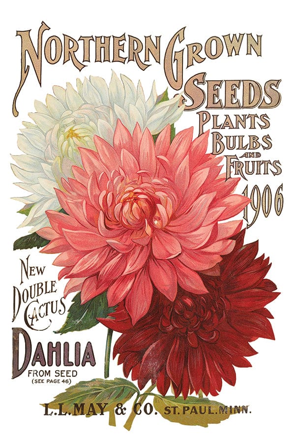 Seed Catalogue Transfer IOD New Summer Collection Release 2023 Pickin' Boots Vintage