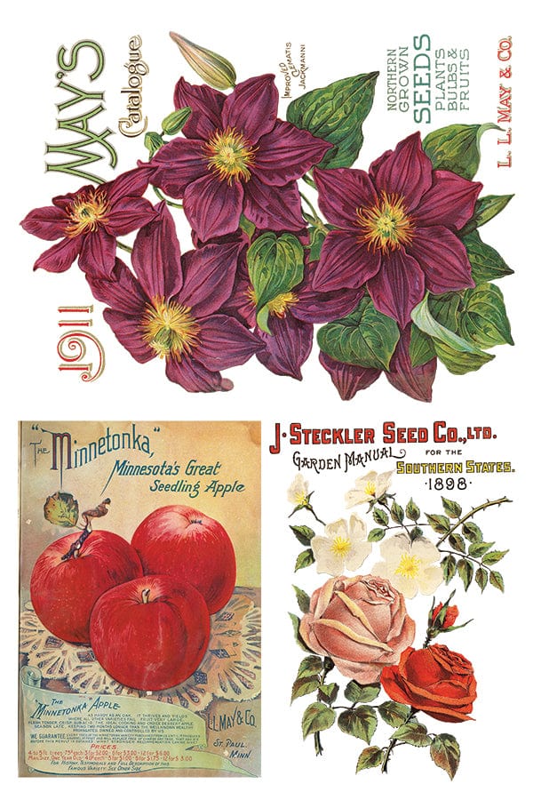 Seed Catalogue Transfer IOD New Summer Collection Release 2023 Pickin' Boots Vintage