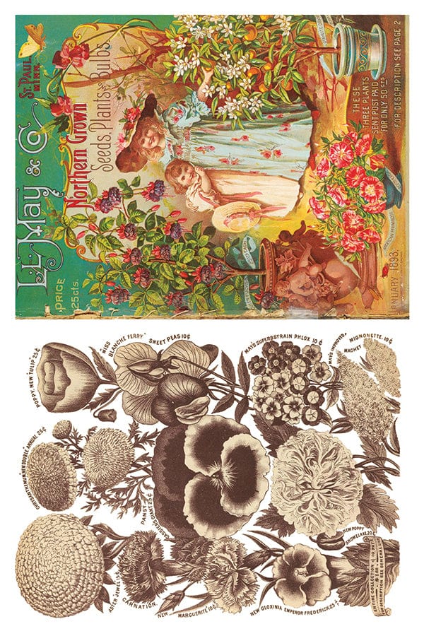 Seed Catalogue Transfer IOD New Summer Collection Release 2023 Pickin' Boots Vintage
