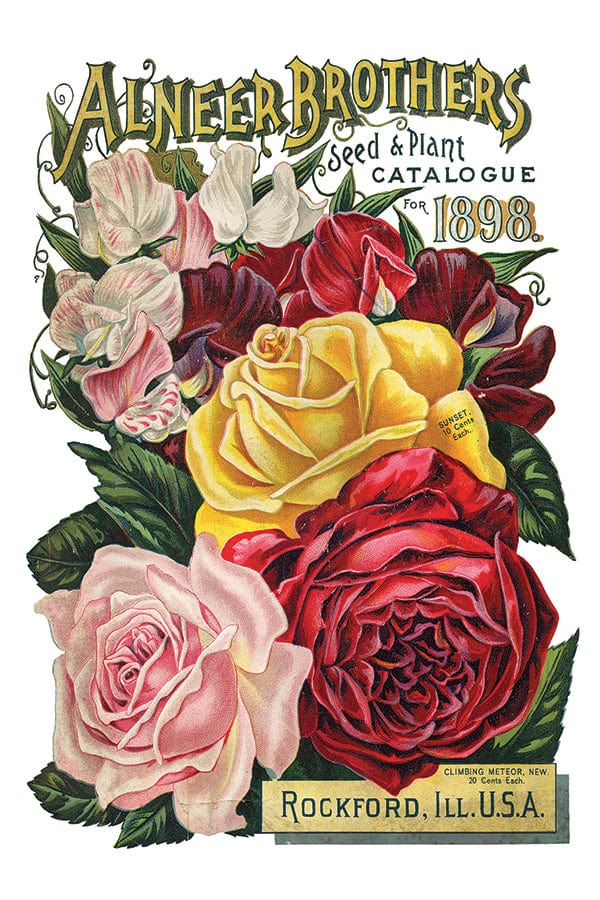 Seed Catalogue Transfer IOD New Summer Collection Release 2023 Pickin' Boots Vintage