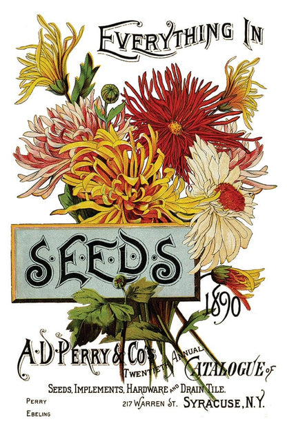 Seed Catalogue Transfer IOD New Summer Collection Release 2023 Pickin' Boots Vintage