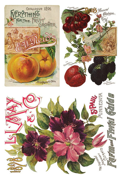 Seed Catalogue Transfer IOD New Summer Collection Release 2023 Pickin' Boots Vintage